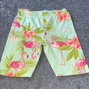 Place Green and Pink Tropical Flamingo Shorts